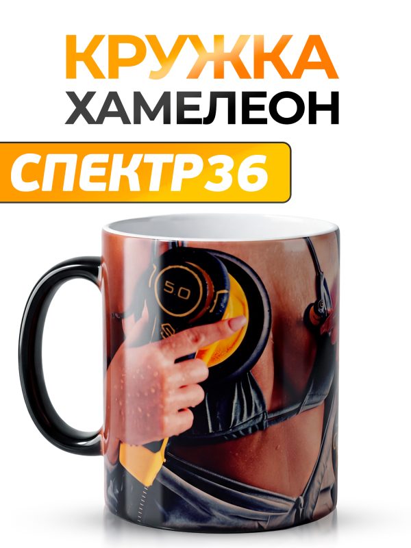 Кружка-хамелеон СПЕКТР36 (Schtaer-дизайн)