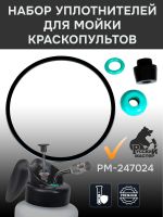 Набор уплотнителей для мойки краскопультов Русский Мастер РМ-243293 фото №2
